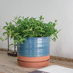 HERDUK 8 Inch Pots for Plants, Ceramic Planter Pot with Drainage Hole & Saucer, Indoor/Outdoor Cylinder Round Planter Pot, Blue & Terracotta - Image 7