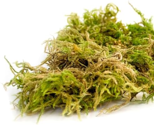 SuperMoss 7 59834 21706 0 Moss, Appx. 25 lb Bale, Natural Dried - Image 2