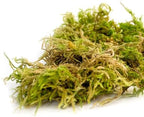 SuperMoss 7 59834 21706 0 Moss, Appx. 25 lb Bale, Natural Dried - Image 2