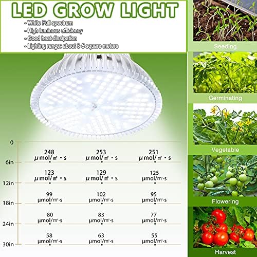 MILYN LED Grow Light Bulb for Indoor Plants Full Spectrum Pure White Grow Lamp, 2 Pack 100W E26 LED Plant Bulb for Seedlings, Flowers, Greenhouse, Vegetable, Succulent, Houseplants, Hydroponic - Image 3