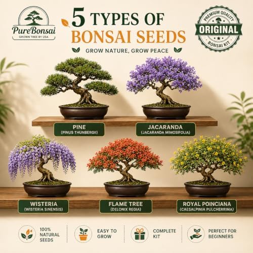 Bonsai Tree Starter Kit for Beginners – Complete Indoor Growing Kit with 5 Unique Japanese Bonsai Tree Seeds Pots & Gardening Tools DIY Gift for Adults - Image 4