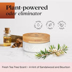 Azuna Home Odor Eliminator for Strong Odor | 2 Room Kit | Sandalwood - Image 4