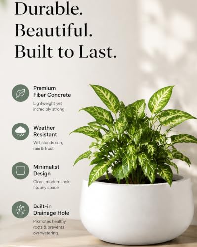 Kante 11" Dia White Concrete Planter, Small Round Plant Pot Bowl - Image 2