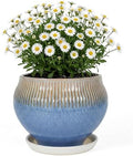 8.3 Inch Modern Ceramic Plant Pot with Drainage Hole and Mesh Net, Indoor Outdoor Planter with Saucer & Gardening Glove, Pots for Succulents, Flowers, Large Plants, Blue by Unknown