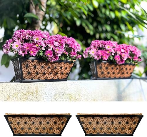 LaLaGreen Garden Wall Planter (16 in, 2 Pack) Black Patio Window Flower Box by L%C3%A1L%C3%A1Green