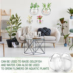 DoubleFill 4 Pcs Wall Fish Tank wall Aquarium Hanging Fish Bowls 9in 6in Acrylic Fish Bubble Ecosphere Decor Fish Bubble Hanging Fish Bowl Clear Vase Flower Plant Pot - Image 4