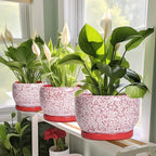 SQOWL 6 Inch Plant Pot - Ceramic Planter for Indoor Outdoor, Round Decorative Plant Pot with Drainage Hole and Saucer, Small Flower Planter, Home Balcony Decor, Gifts for Women Men, Red and White - Image 5