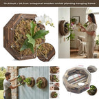 Staghorn Fern Mounting Kit - Wood Wall Planter for Orchids,Herbs & Indoor Plants | Hanging Plant Holder, Basket & Stand for Wall Decor(10.43inch) - Image 5