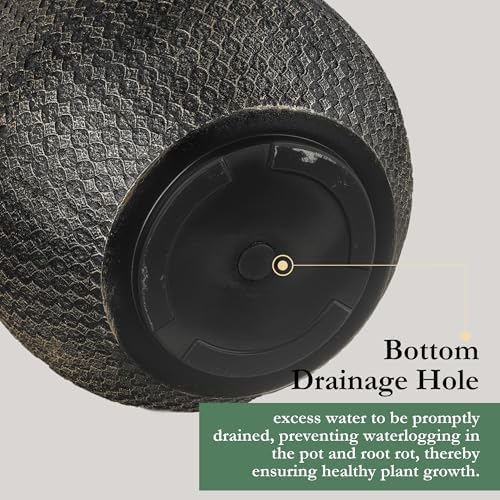 Worth 12" and 14.5" Round Planters, Lightweight Magnesium Oxide Cement Plant Pot, Raised Pattern Concrete Look with Drainage Hole, Black - Image 5