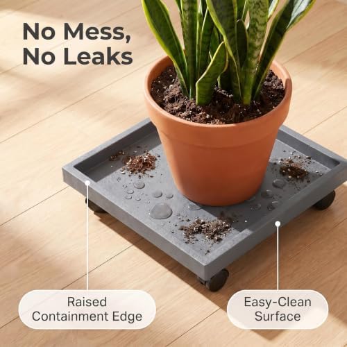 19.7 Inch Square Rolling Plant Caddy Saucer with Wheels, Heavy Duty Wheeled Planter Stand for Potted Plant, Coaster Roller Base Tray with Casters, Flower Pot Dolly Holder for Indoor Outdoor - Image 2