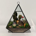 WGV Hanging Geometric Planter Terrarium Bulk Width 6" Height 8" Clear Glass Black Frame DIY Succulent air Plant Miniature Fairy Garden Windowsill Decor Raised Pyramid 6 Pieces - Image 5