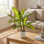 Dracaena & Fiddle Leaf Fig Artificial Plant Set – Realistic Faux Greenery in White Pot, Decorative Fake Potted Plants for Modern Home & Office, 40cm, Set of 2 – Specs: Two-pronged Yellow - Image 3