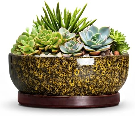 8 Inch Ceramic Succulent Pots with Saucer, Yellow Leopard by Unknown