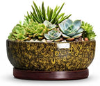 8 Inch Ceramic Succulent Pots with Saucer, Yellow Leopard by Unknown