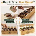 Bonsai Tree Starter Kit for Beginners – Complete Indoor Growing Kit with 5 Unique Japanese Bonsai Tree Seeds Pots & Gardening Tools DIY Gift for Adults - Image 2