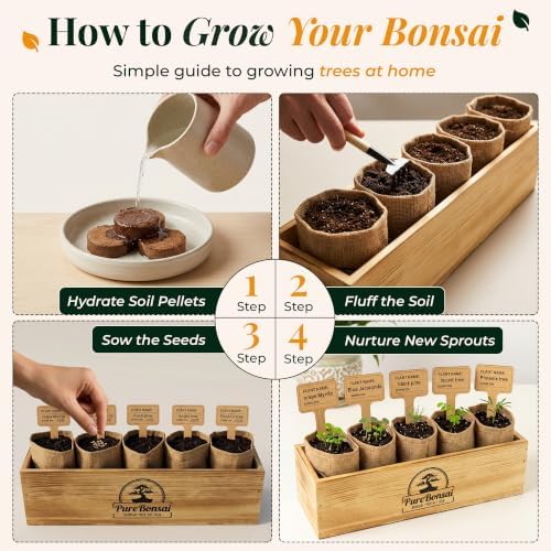 Bonsai Tree Starter Kit for Beginners – Complete Indoor Growing Kit with 5 Unique Japanese Bonsai Tree Seeds Pots & Gardening Tools DIY Gift for Adults - Image 2