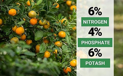 GARDENWISE Professional Citrus Fertilizer & Premium Citrus Potting Mix Bundle - Perfect Balanced NPK for All Citrus Orange, Lime, Lemon Soil for Indoor Outdoor Plants (4-3 Quarts) - Image 5