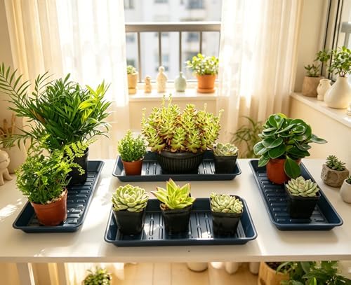 6 Pack Plastic Plant Trays Rectangular 14 Inch, Indoor Outdoor Plant Saucers with Drip Protection, Windowsill Planter Tray, 7 x 14.5 Inches, Blue - Image 3