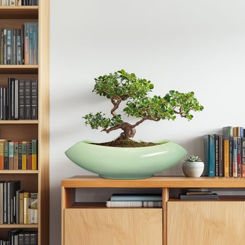 Ceramic Bonsai Pots - Large Succulent Planter 18 Inch Plant Pot Indoor Succulent Pot with Drainage Hole Outdoor Planter Bonsai Tree Pot for House Home Garden Decor Green - Image 3