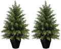 Mavis's Diary 2ft Artificial Cedar Topiary Tree, Set of 2 Realistic Faux Evergreen Shrub Plant in Planter, Indoor Outdoor Fake Cedar Tree for Front Porch, Entryway, Office & Home Decor by MavissDiary