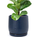 D'vine Dev Beaded Ceramic Pot with Saucer, 8 in, Midnight Blue, 27-C-Q-3 by DvineDevPlanterPotsandStand