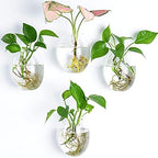 Kingbuy Wall Hanging Planter Glass Propagation Terrarium 3 Hexagon Shape and 4 Egg Shape Flower Vase for Home Office Christmas Decor - Image 6