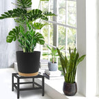 Lilybud--lily Plant Stand Indoor Outdoor, 2 Pcs Heavy Duty Plant Stands Metal Pedestal Stand for Indoor Outdoor, Wrought Iron Flower Stand Display Planter Shelf for Garden Deck Living Room - Image 2