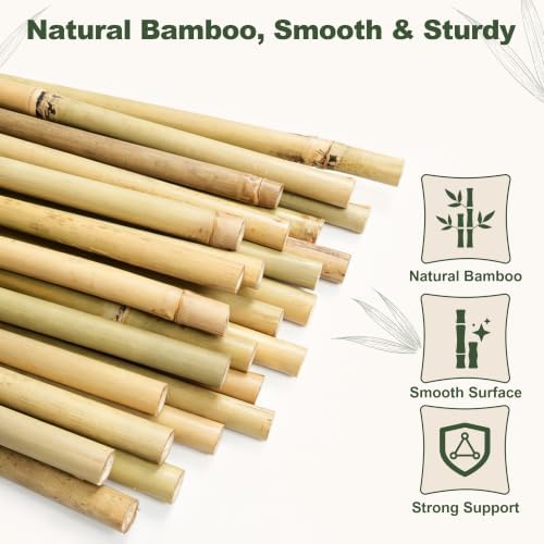 Natural Bamboo Poles, Approx. 57 in / 5 ft, 5/8" Diameter Bamboo Sticks for Plants, Wood Garden Stakes for Tomatoes, Beans, Flowers, Potted Trees and Climbing Plants, 40 Pack - Image 4