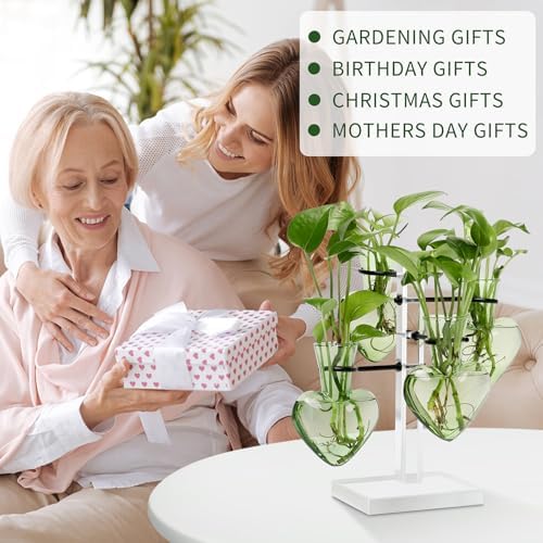 Plants Propagation Stations Plant Terrarium Kit Gift for Women - Image 5