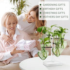Plants Propagation Stations Plant Terrarium Kit Gift for Women - Image 5