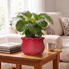 10 Inch Flower Pots, Ceramic Pots for Indoor Plants, Red - Image 4