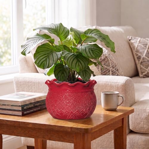 10 Inch Flower Pots, Ceramic Pots for Indoor Plants, Red - Image 4
