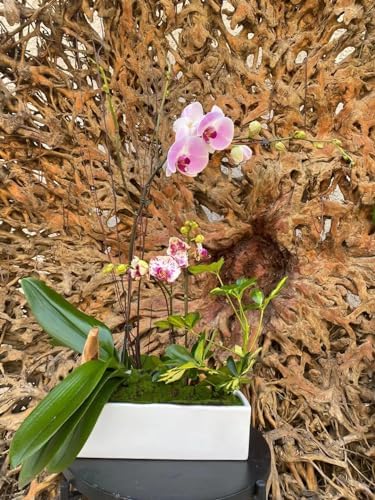 WGVI Long Rectangle Ceramic Planter Vase in White 12" x 4" x 4"H, Block Rectangular Terrarium Box Pot, Flower Arrangement, Table top Centerpiece, Home Decor Organization Storage Container, 6 Pcs. - Image 6