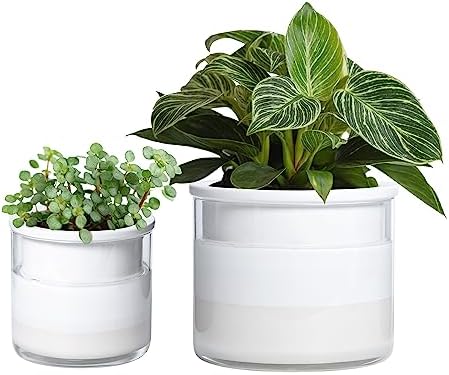 Phoenix Vine 6 Inch 4 Inch Self Watering Planter Pots, Design White Terracotta Pots for Plants, Indoor Cylinder Terra Cotta Pots with Glass Vase Set, 51-B-G-46 by Phoenix+Vine