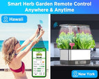 Hydroponics Growing System,Smart Indoor Herb Garden with Grow Light,8 Pods - Image 2