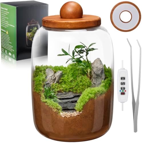 Plant Terrarium with Grow Light: 8.6H+6.3W Glass Terrarium by Unknown