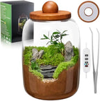 Plant Terrarium with Grow Light: 8.6H+6.3W Glass Terrarium by Unknown