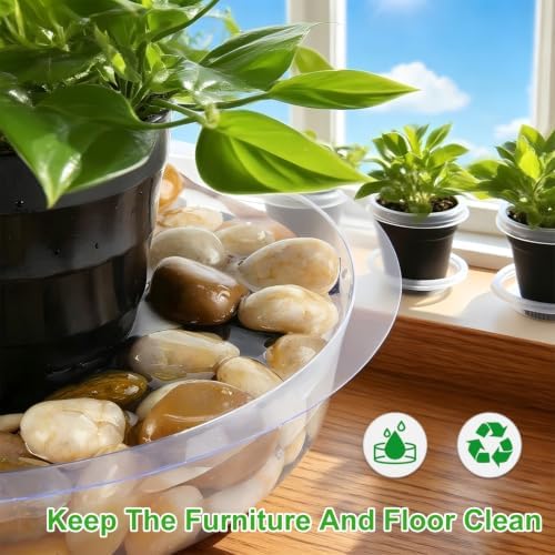 TITE 5 Pack Clear Plant Saucer Heavy Duty Sturdy Drip Trays for Indoor and Outdoor Plants - Image 2