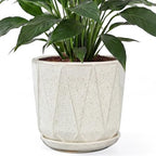 10 Inch Ceramic Plant Pot with Drainage Hole Mesh Net, Large Flower Pots for Indoor Plants with Saucer, Gardening Pots Outdoor (Silk White) by Unknown