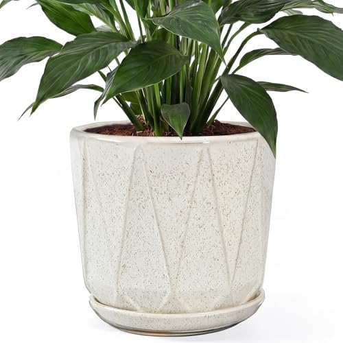 10 Inch Ceramic Plant Pot with Drainage Hole Mesh Net, Large Flower Pots for Indoor Plants with Saucer, Gardening Pots Outdoor (Silk White) by Unknown