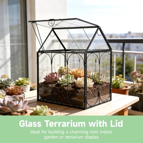 Glass Plant Terrarium Container with Lid, House Shape Geometric Terrarium - Image 2