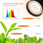 Bstrip 4-Head LED Grow Light with Stand for Indoor Plants, Full Spectrum - Image 4
