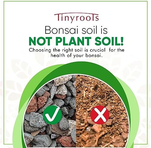 Bonsai Outlet Bonsai Soil Mix - Tinyroots All Purpose Bonsai Soil Mix Ready to Use Blend, Used for All Varieties of Bonsai Trees, 2.5 Gallons - Image 2