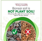 Bonsai Outlet Bonsai Soil Mix - Tinyroots All Purpose Bonsai Soil Mix Ready to Use Blend, Used for All Varieties of Bonsai Trees, 2.5 Gallons - Image 2