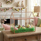 D'Eco Glass House Plant Terrarium, Centerpiece & Wedding Letterbox - Image 7