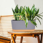 QCQHDU 16" L x 7.6" W x 7" H Window Planter Box, 2 Pack Self Watering Pots for Indoor Plants with Drainage Holes & Saucer, Outdoor Flower Pots Home Garden Modern Decor - Image 5