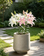 Kante 13.4" Tall Concrete Planter, Round Curved Flower Pot, Weathered - Image 6