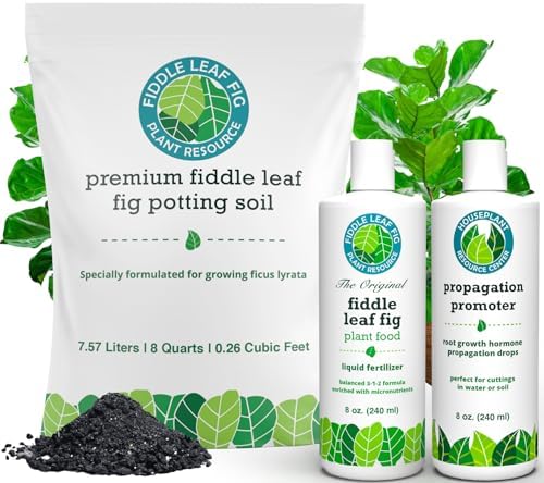 Fiddle Leaf Fig Propagation Bundle by HouseplantResourceCenter