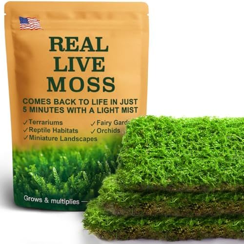 Live Moss – Plagiomnium Moss (3 Sheets, Each Approx. 3.5"x7") for Terrariums, Moss Balls, Bonsai & Natural Plant Decor – Naturally Grown, Reusable, Not Artificial by LUCKYRUNES