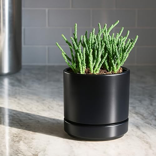 D'vine Dev 2-Pack Ceramic Pots with Saucers, Black, 4/6 in, 94-G-S-2 - Image 5